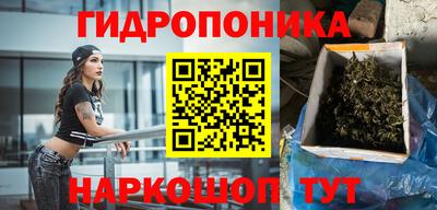 гидра Гатчина