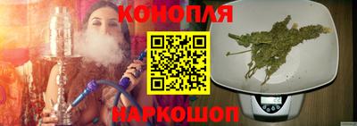 гидра Гатчина