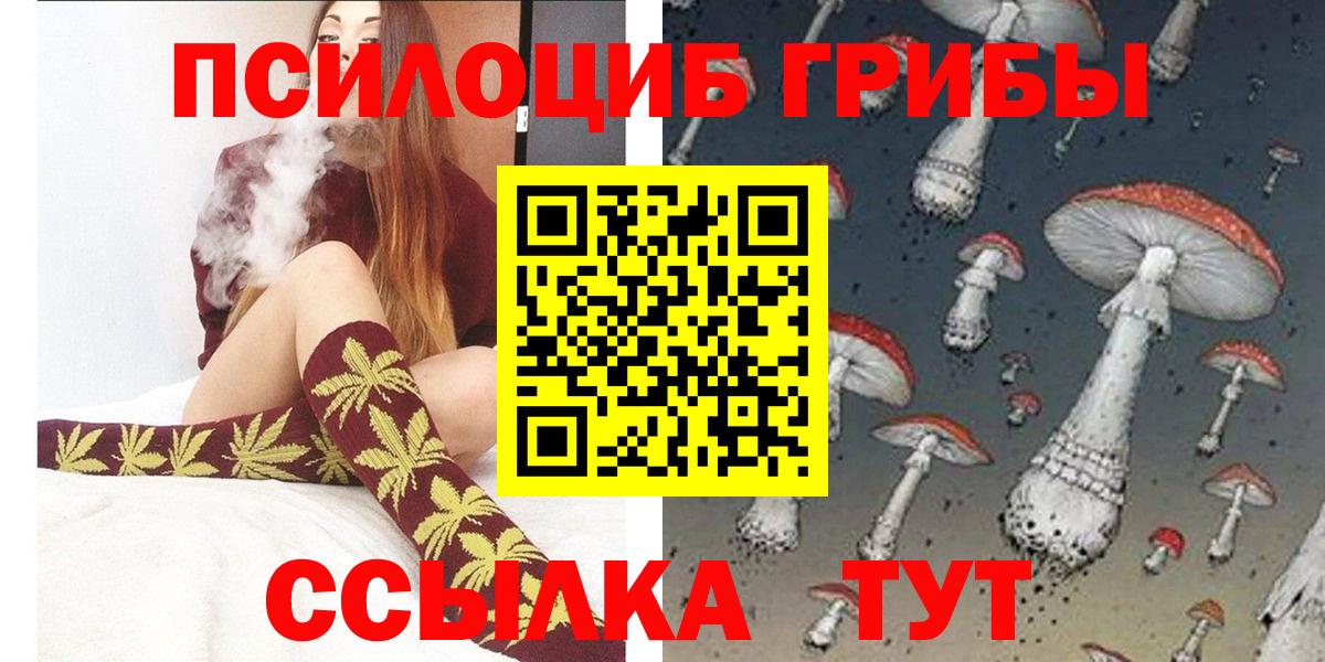 купить наркотики сайты  Вход с VPN  Дмитров  Галлюциногенные грибы MAGIC MUSHROOMS  Псилоцибиновые грибы Cubensis 